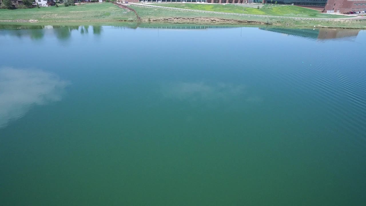 Blue-green river surface in Westminster, Colorado, with the grassy shoreline and buildings at the upper edge, faint ripples, and no visible people.