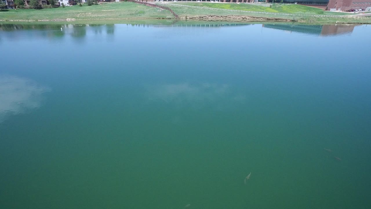 Opening frame of still blue-green water in Westminster, Colorado, with a thin grassy shoreline and distant buildings along the top edge, no visible people.
