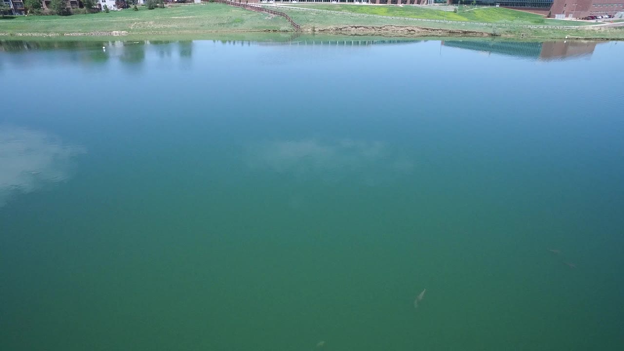 Second frame holds on the same Westminster water view, with faint cloud reflections in the lower left and the grassy bank running across the top, no visible people.