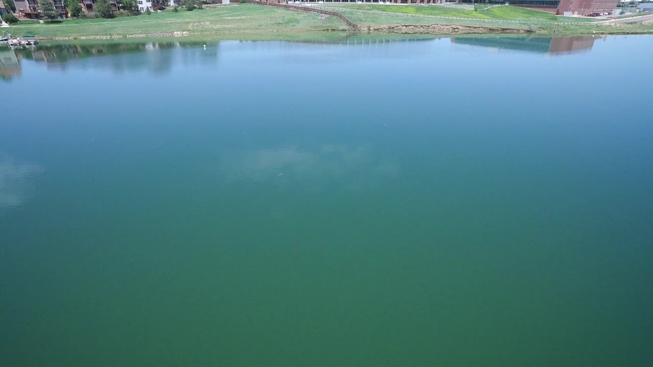 Aerial frame of Westminster lake water with the shoreline held along the top edge, small structures near the bank, and no visible people.