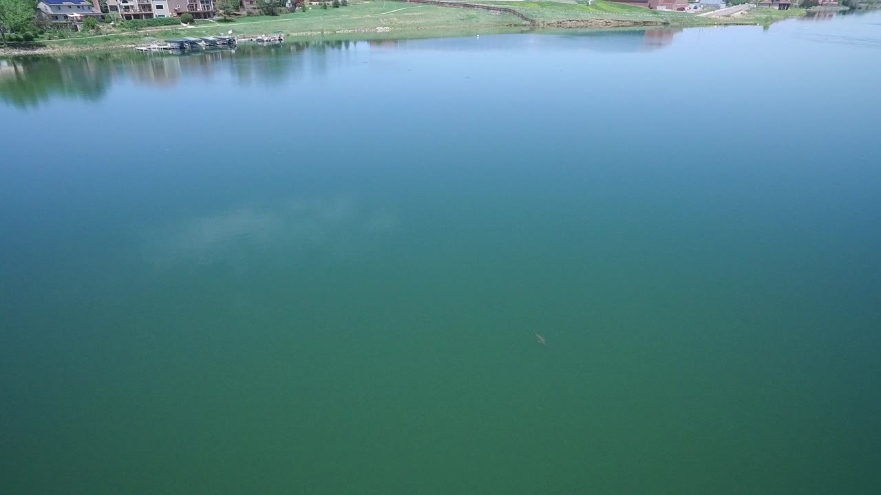 Blue-green lake water with distant grassy shoreline and homes.