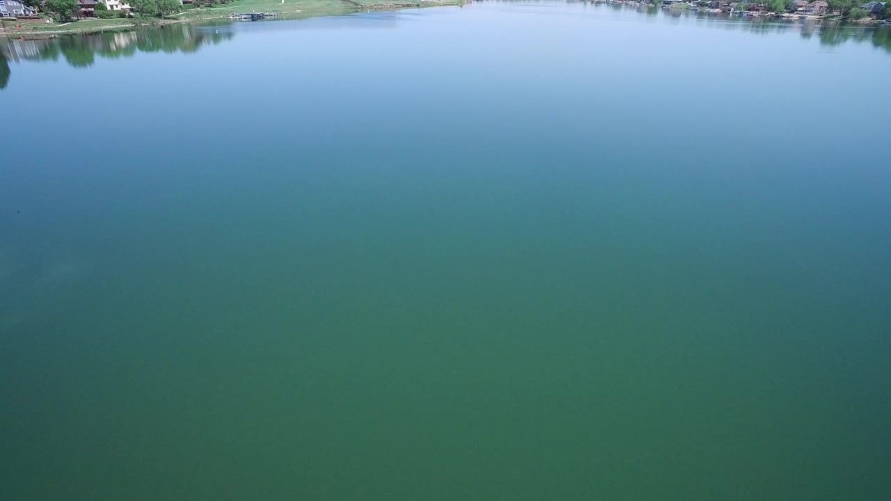 Open green lake water in Westminster, Colorado, with a thin strip of trees and distant houses near the upper edge and no visible people.