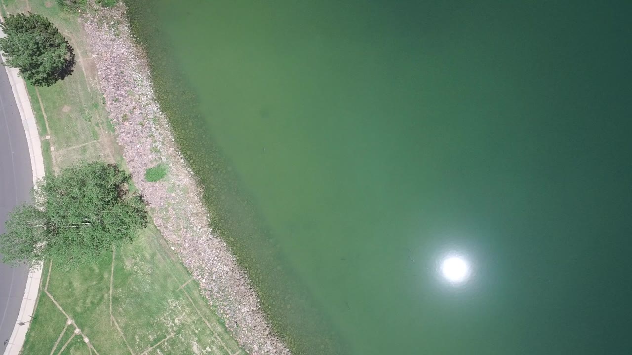 Overhead view of green water, rocky shore, grass, trees, and a curved street.
