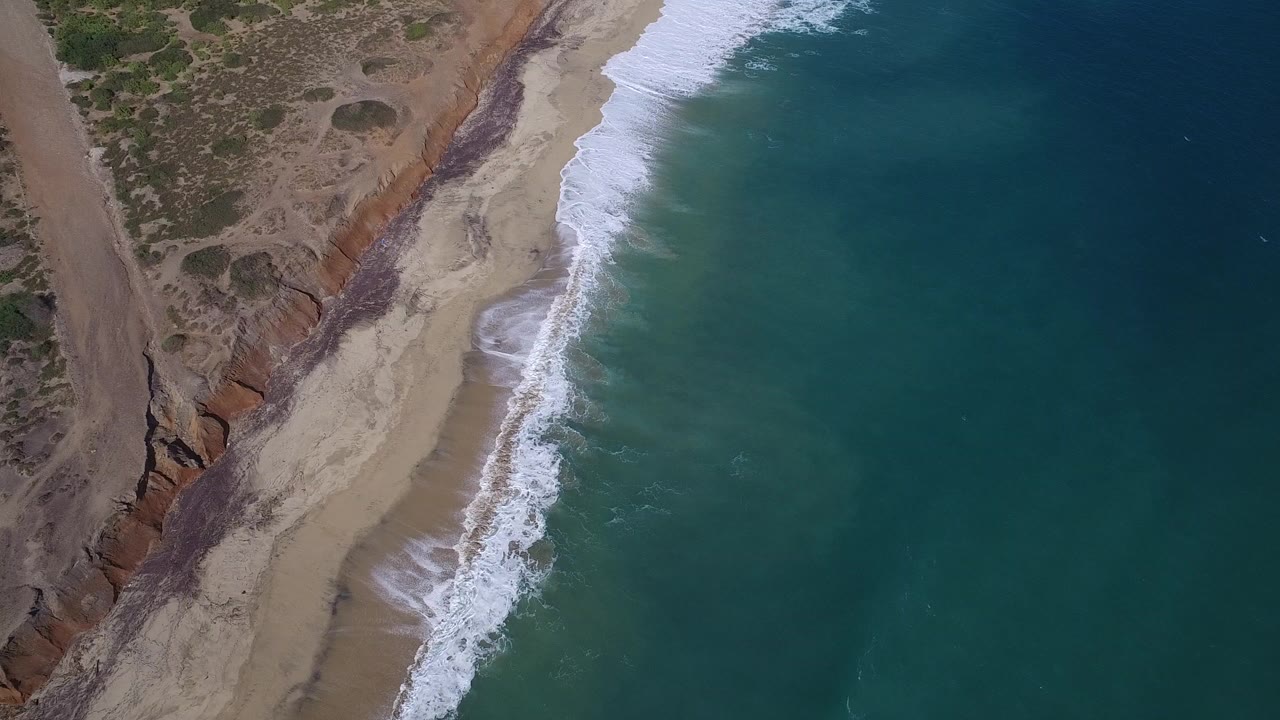 High aerial view of waves breaking beside a sandy beach and scrub-covered dunes.