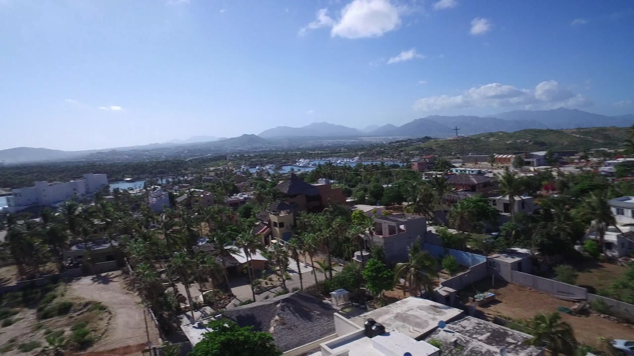 Oblique aerial view of palms, homes, beach area, ocean, and mountains.