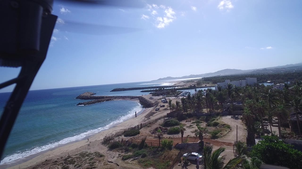 Elevated beach view with palms, ocean, and dark rig edge in foreground