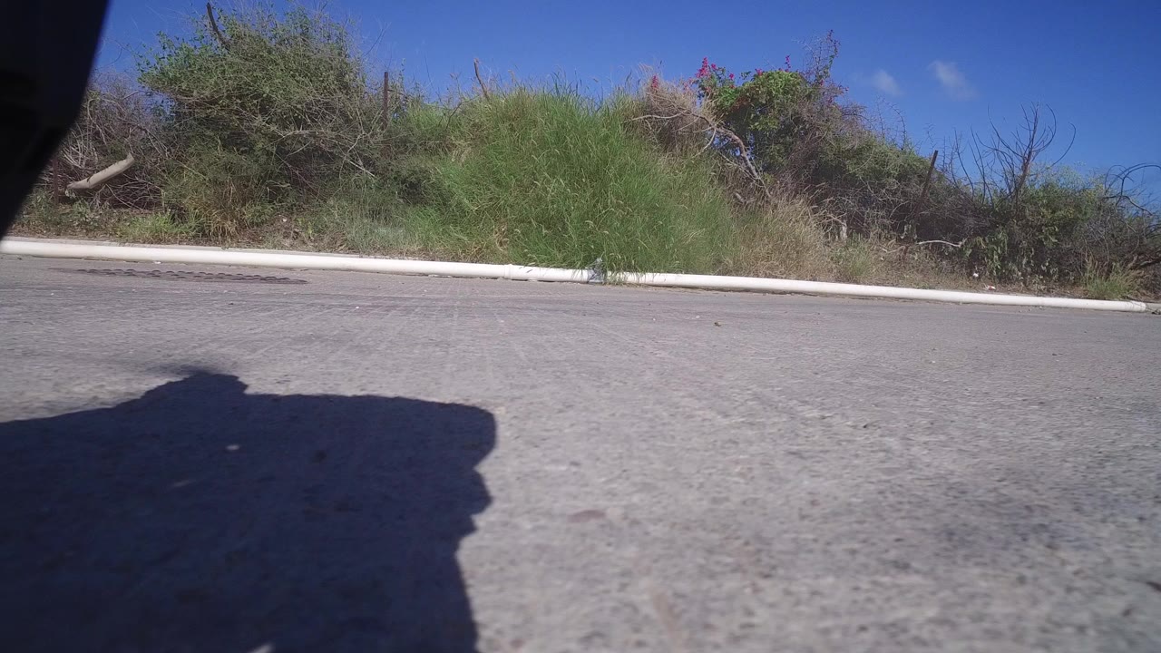 Low roadside frame in Playita, Baja California Sur, Mexico, showing gray pavement, a white curb, green brush, blue sky, and a large dark shadow across the lower left.