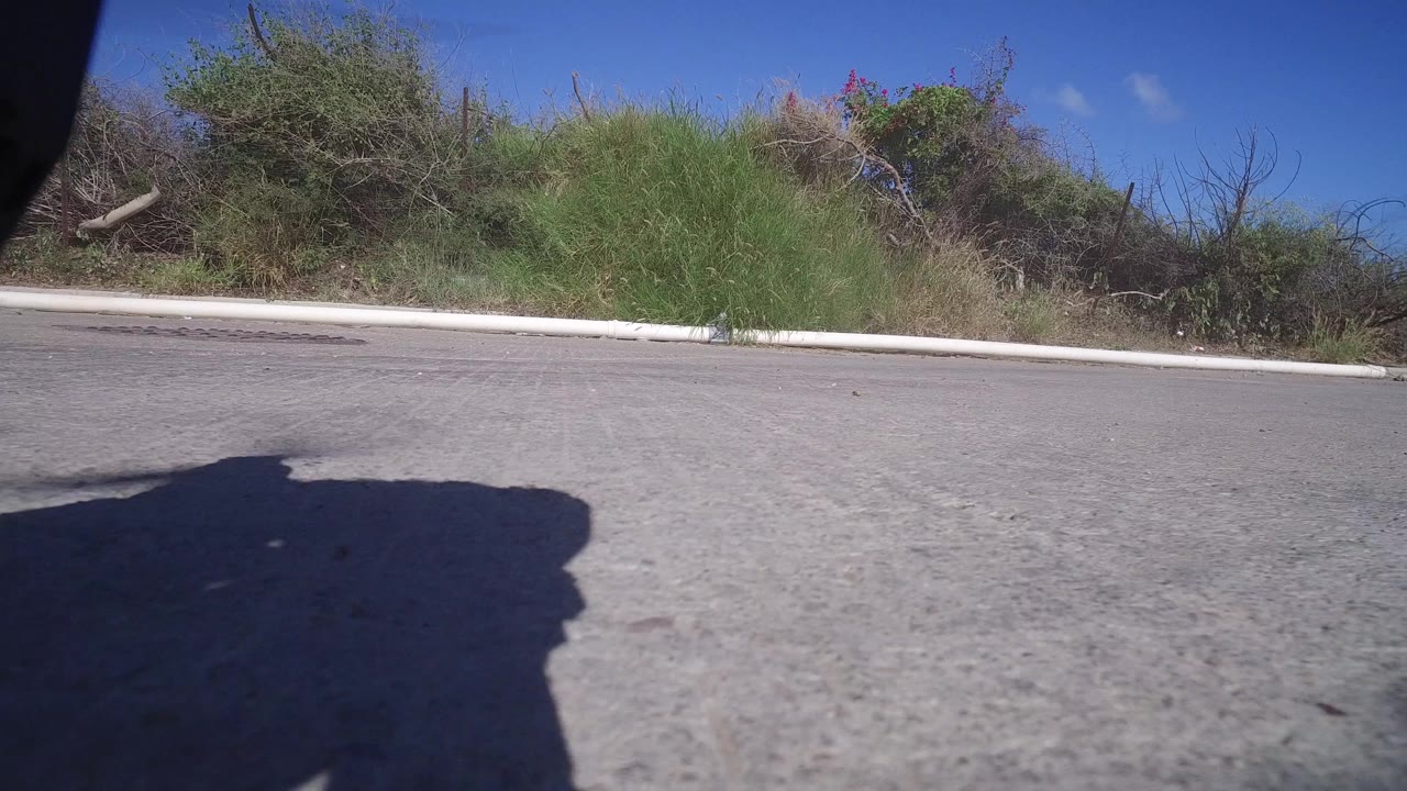 Playita roadside view with rough gray pavement in front, a white curb, mixed green and dry vegetation, blue sky, and a broad shadow occupying the lower frame.