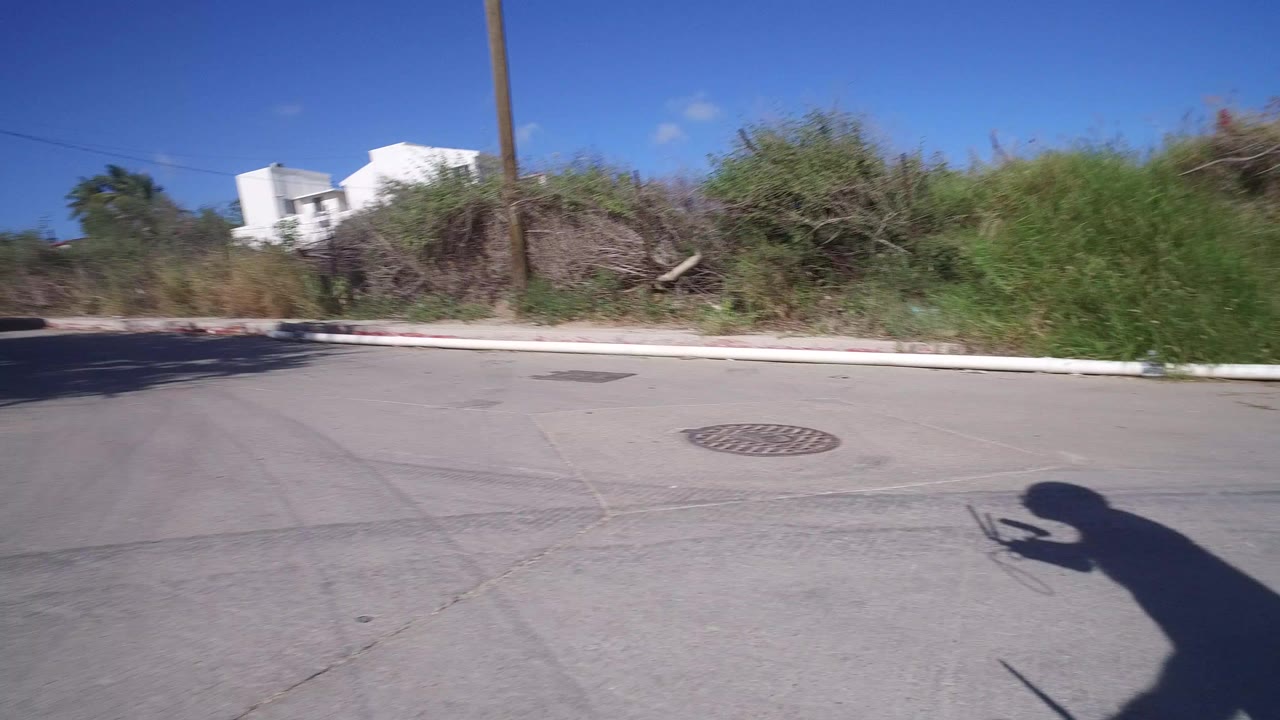 Paved road beside dense roadside brush under blue sky.