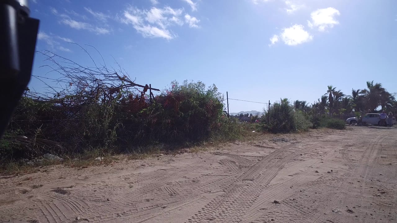 Wide sandy road with brush and distant palms.