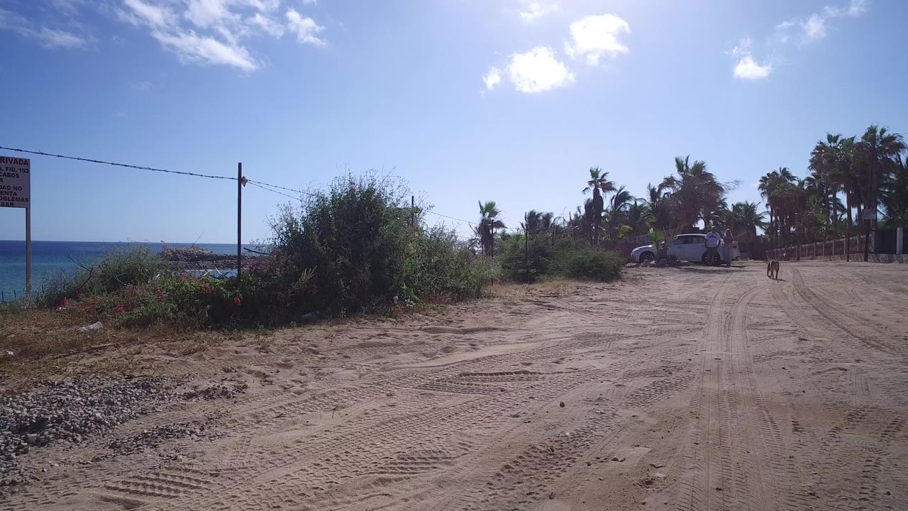 Wide view of a sandy beach access road in Playita, Baja California Sur, with ocean on the left, scrub plants, palms, and distant parked vehicles under bright sun.