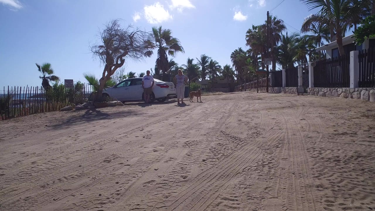 Wide dirt road beside blue water with people, cars, palms, fence, and a dog.