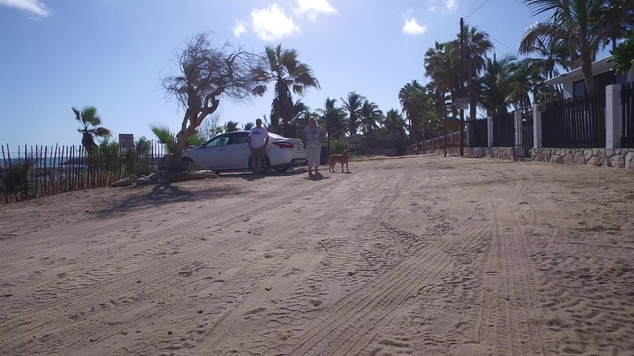 Playita roadside frame with the white car more centered, adults standing near it, a brown dog to the right, ocean beyond the fence, and palms and buildings along the road.