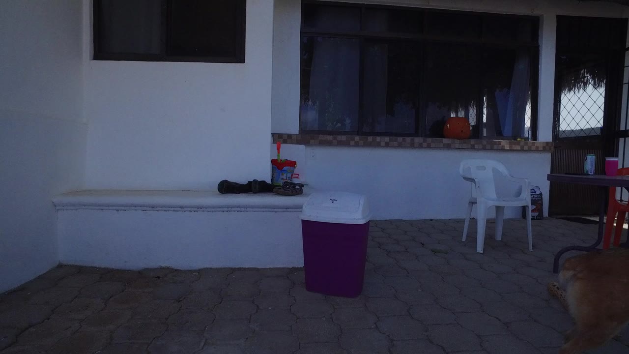 Shaded patio at a Playita, Baja California Sur house with white walls, dark windows, plastic chairs, a purple cooler, and no visible people.