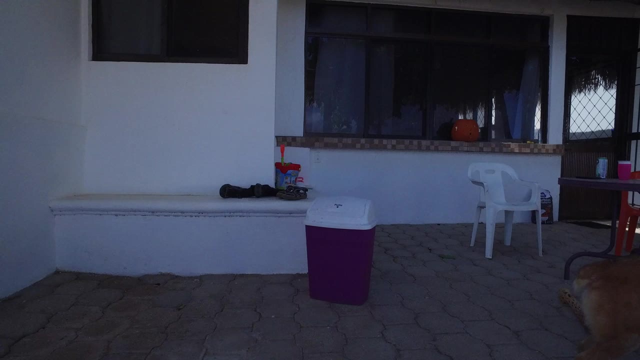 The patio remains framed from under shade, with a white wall, dark window, white chair, purple cooler, and no visible people at the Playita house.