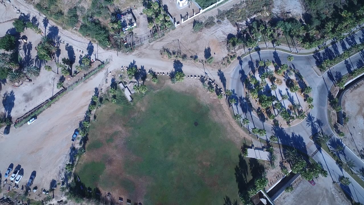 Curving road beside field with palms, parked cars, and walled lots
