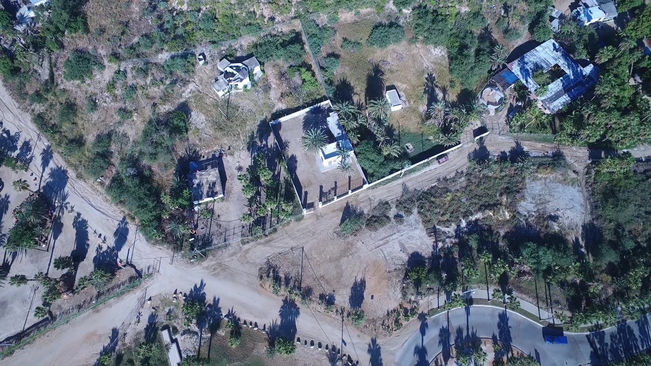 Drone view of residential lots, palms, scrub, and a small white vehicle.