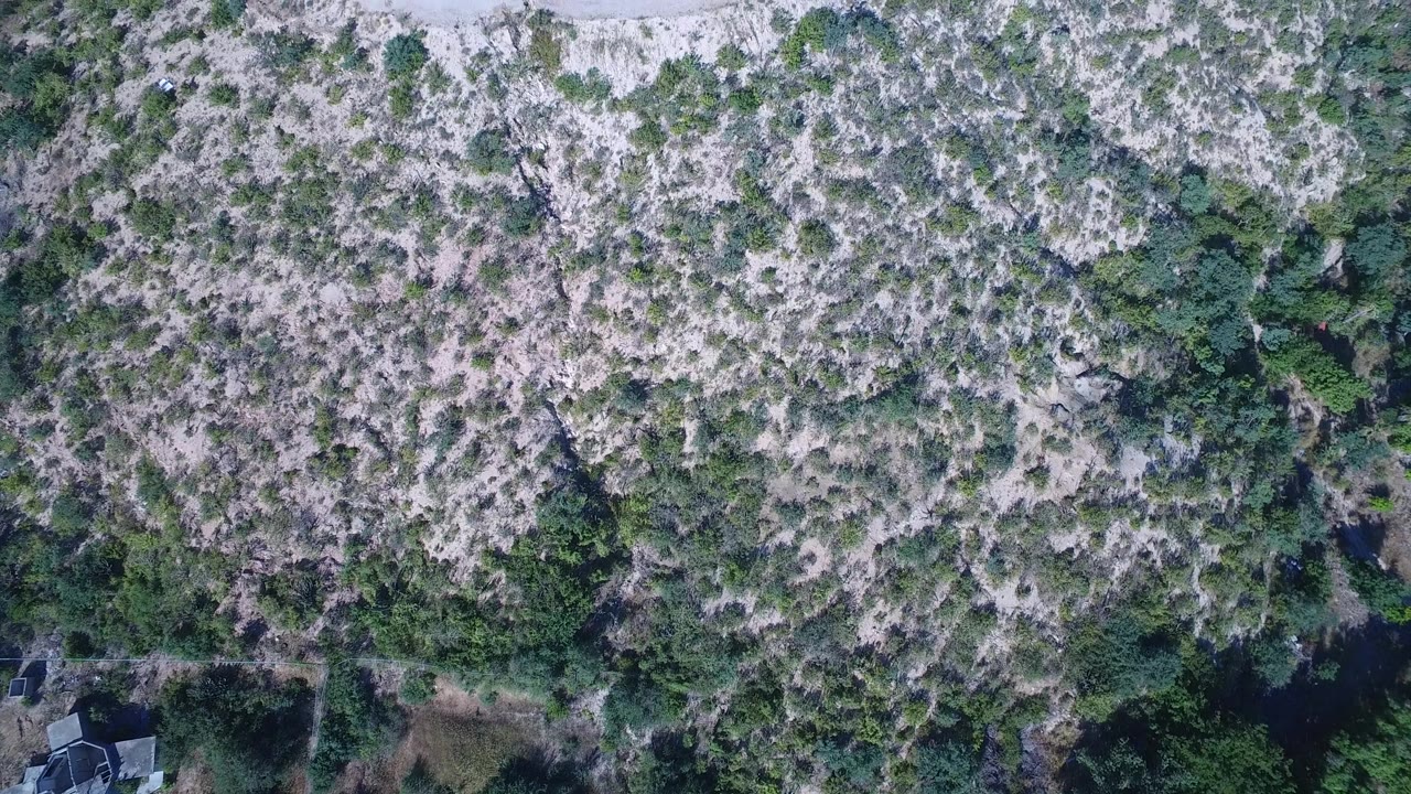 Top-down view of brushy terrain with pale dirt and dark green vegetation.