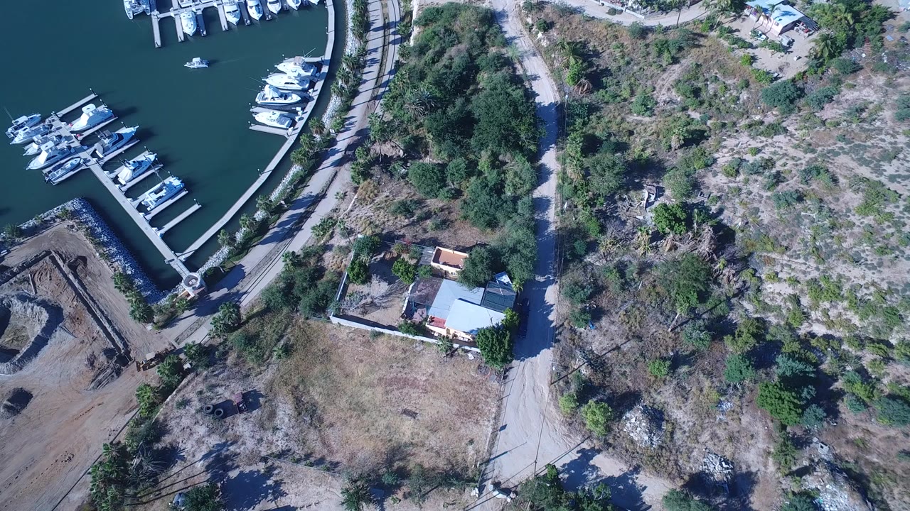 Overhead marina with docked boats beside dry shoreline and trees