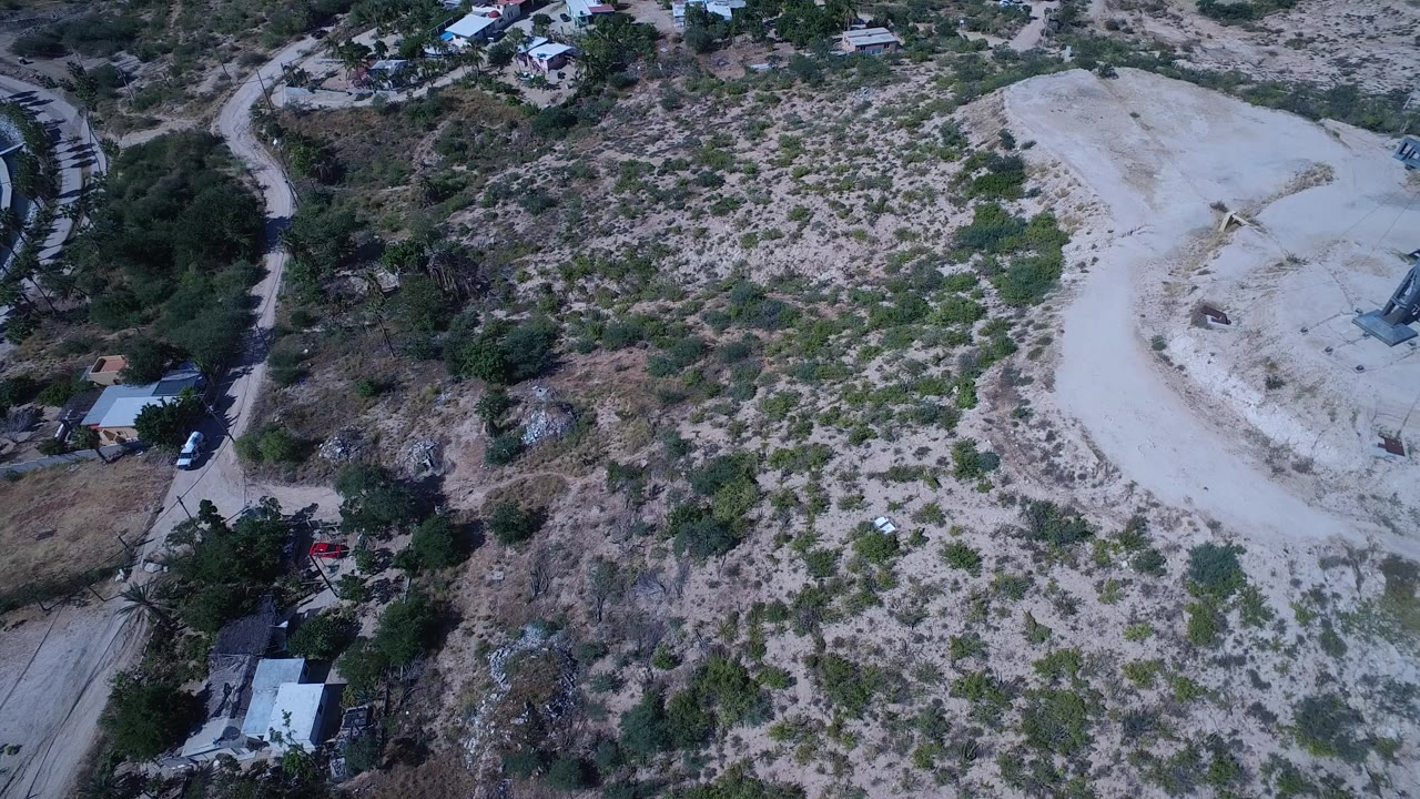 Overhead view of scrubland beside a curved marina edge.