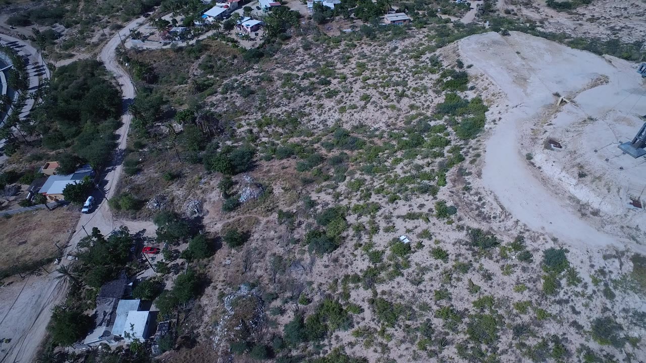 Overhead San Jose del Cabo view with mottled green brush across sandy ground, a road and homes near the top, and a marina corner with docked boats on the right, no visible people.