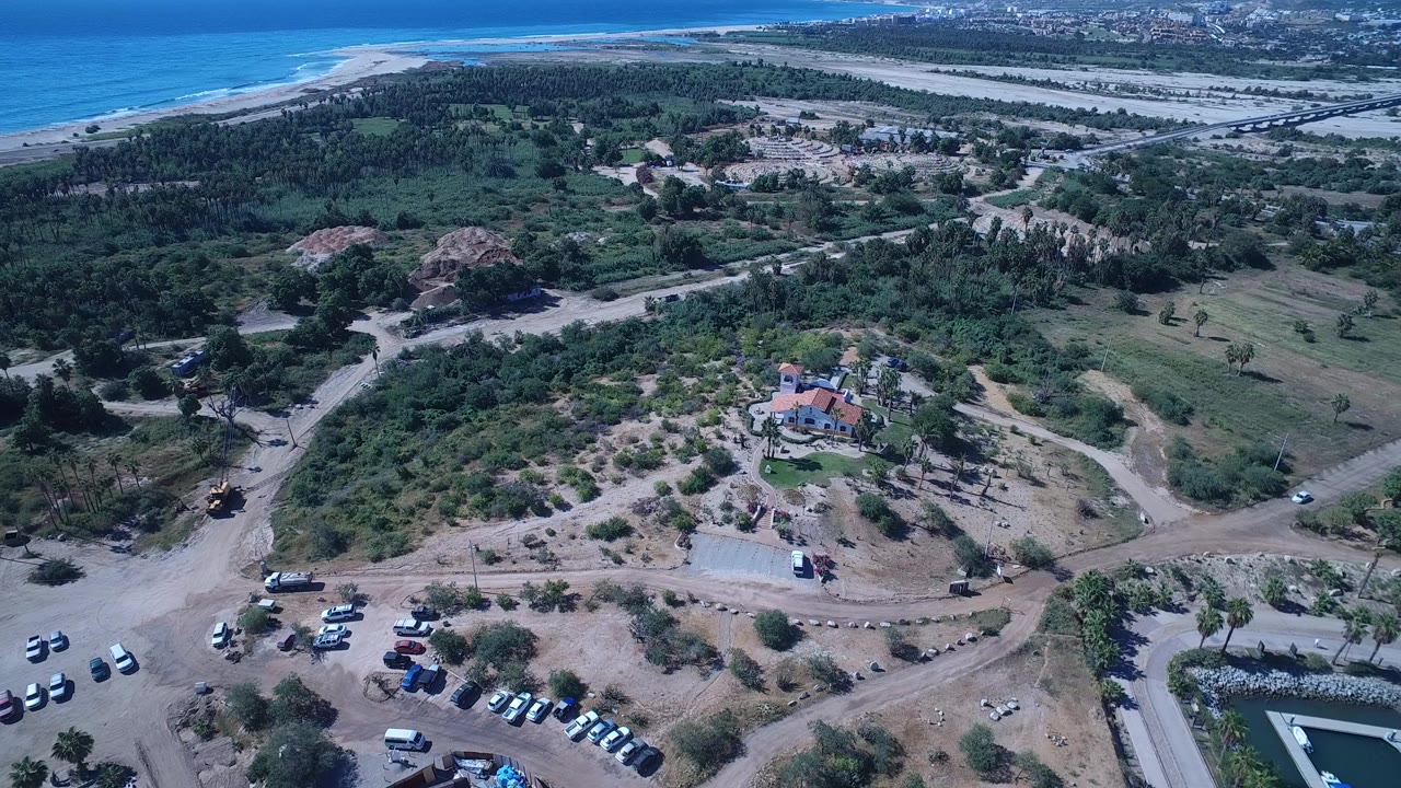 Aerial view of coastal trees, dirt roads, parked cars, and ocean surf beyond the beach.