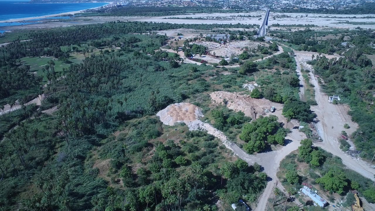 Aerial view of green forest, dirt roads, cleared land, and blue water beyond.
