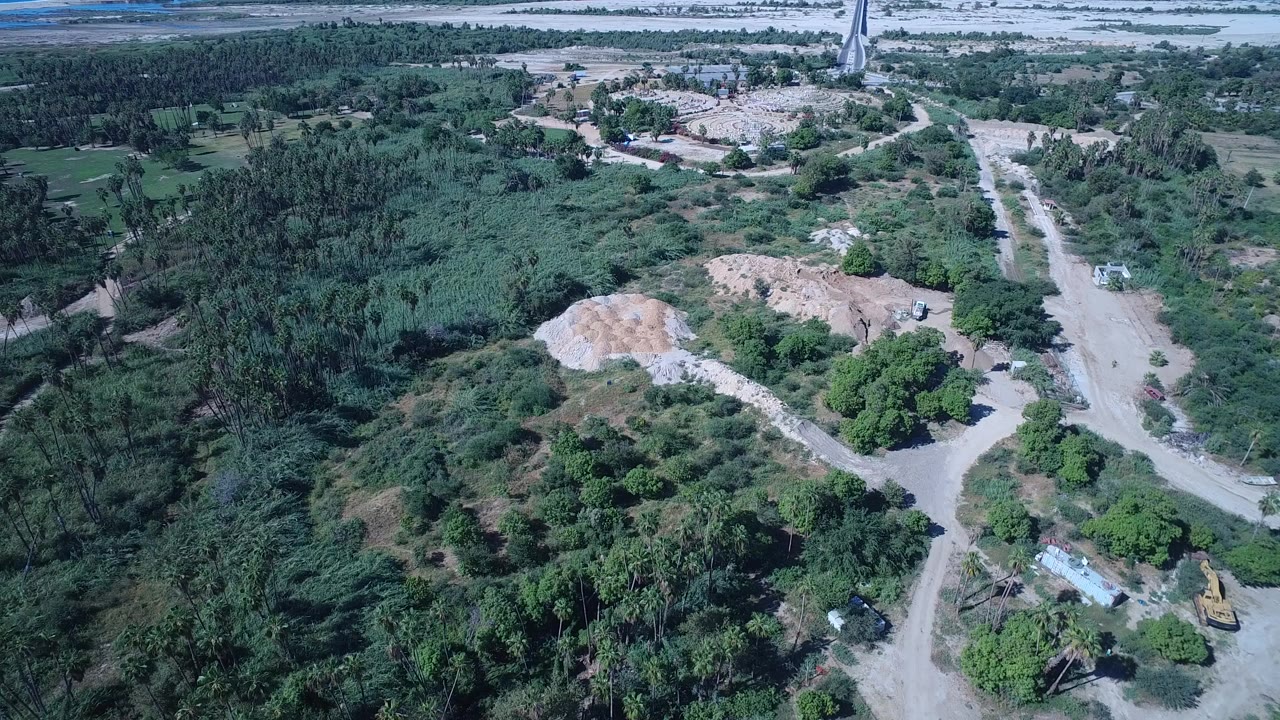Aerial frame over green tree cover and branching dirt roads in San Jose del Cabo, Mexico, with a pale cleared mound near the center and no visible people.