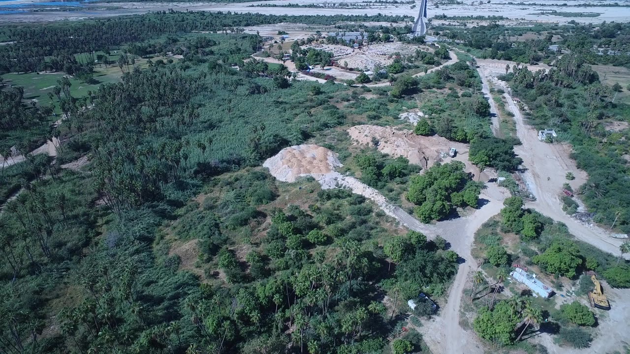 Elevated view in San Jose del Cabo, Mexico, showing dense trees around pale dirt tracks, a sandy cleared area, distant buildings, and no visible people.