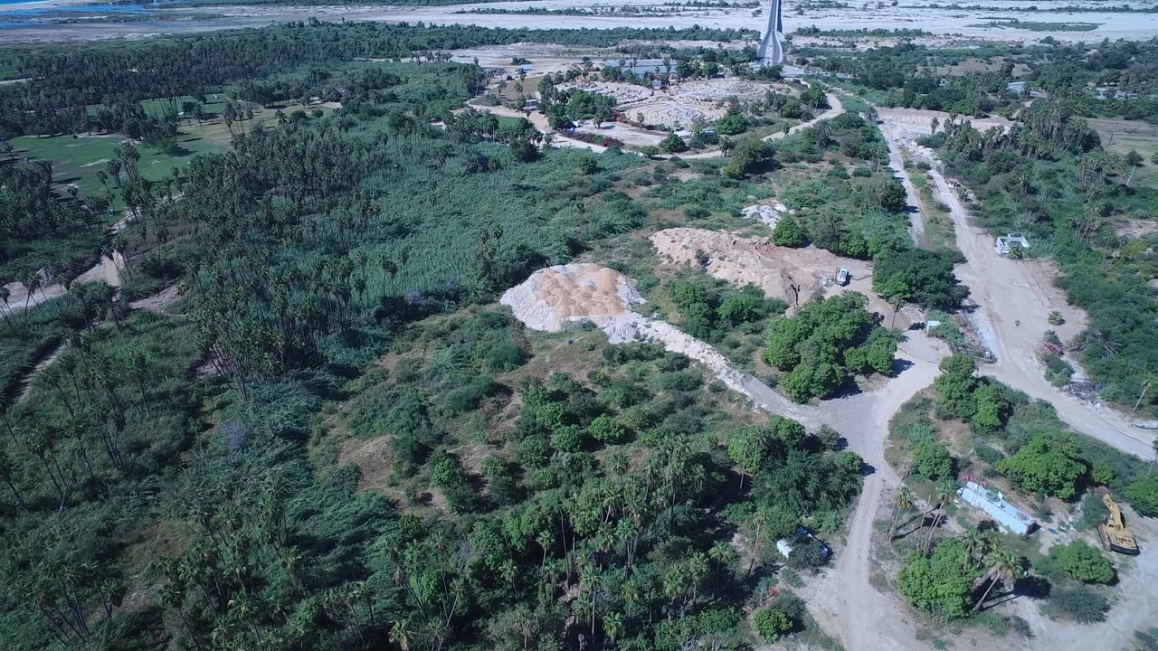 Green forest edge with dirt road and distant bridge