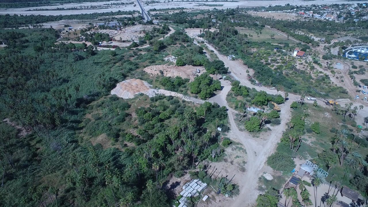 High aerial view over San Jose del Cabo green scrub, palms, branching dirt roads, low structures, and distant marina water, with no visible people.