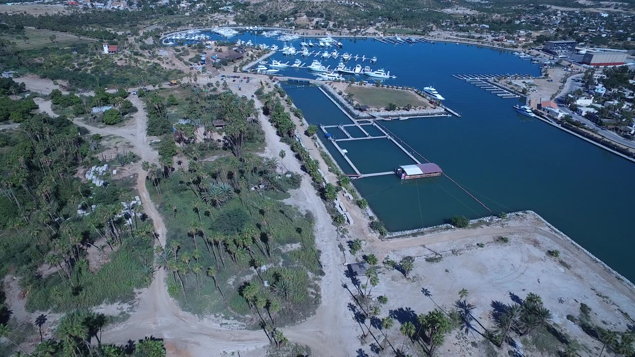 Aerial frame over San Jose del Cabo showing blue-green marina water, empty dock slips, sandy shoreline, scattered palms, distant boats, and no clearly visible people.