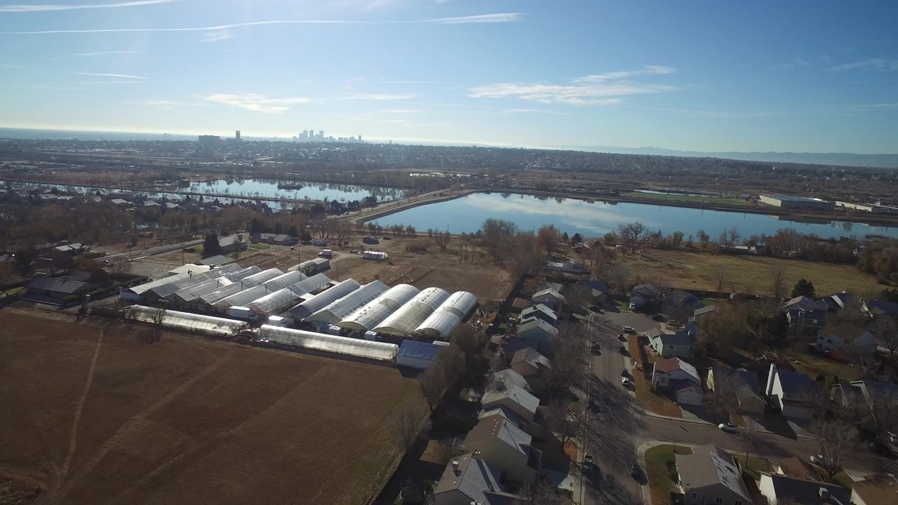 Aerial view in Westminster, Colorado with greenhouse rows centered lower in frame, open brown fields beside them, nearby houses, water beyond, and no visible people.