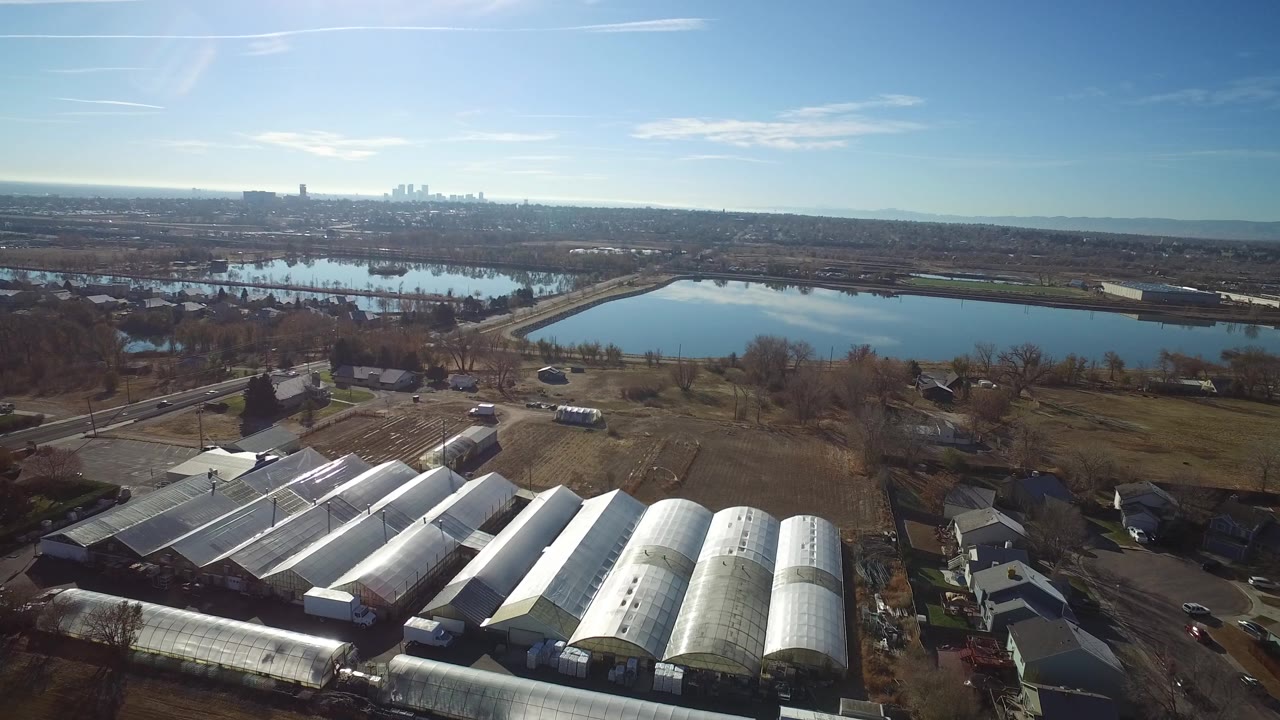 Aerial frame in Westminster, Colorado showing long white greenhouse roofs at the lower edge, brown fields, roads, blue water, a far skyline, and no visible people.