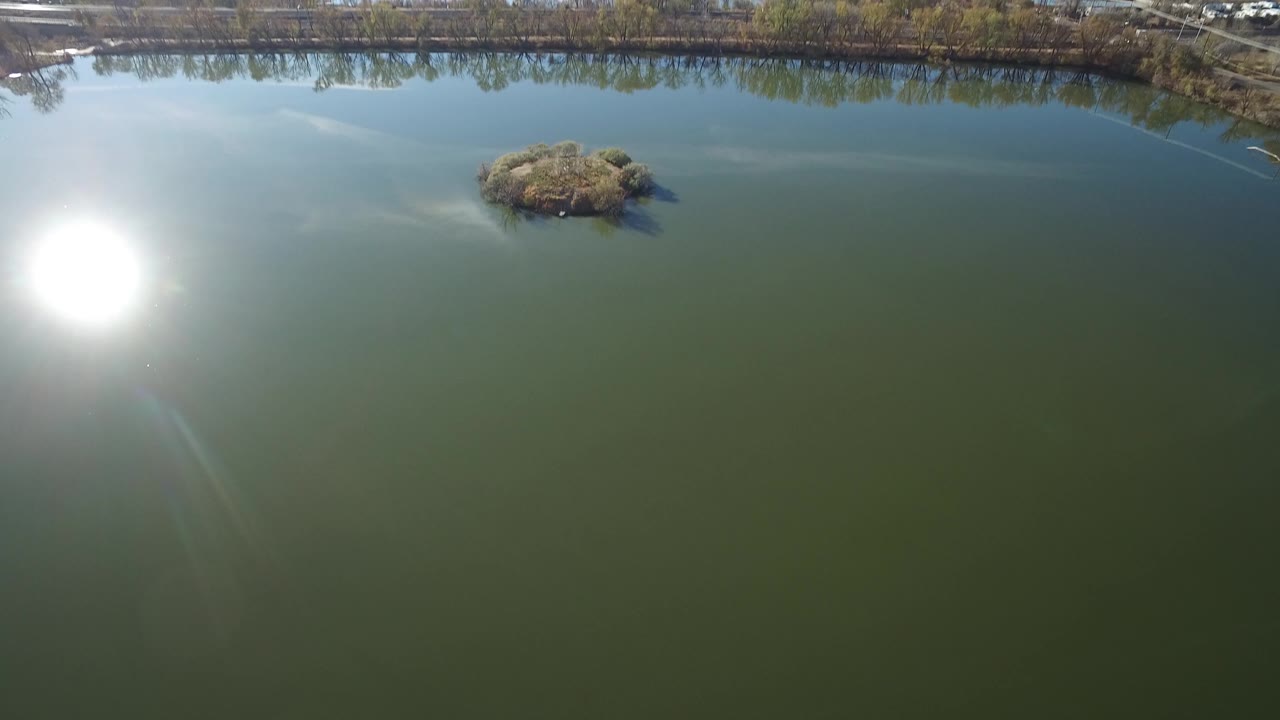 Aerial view of green lake water with sun glare and a small tree-covered island.