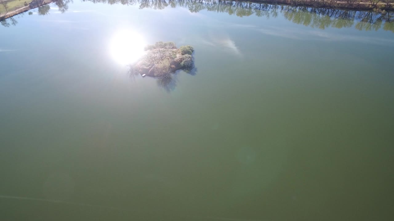 Aerial frame over a Westminster, Colorado lake showing green water, a small brush-covered island left of center, strong sun glare near the upper left, shoreline trees along the top edge, and no visible people.
