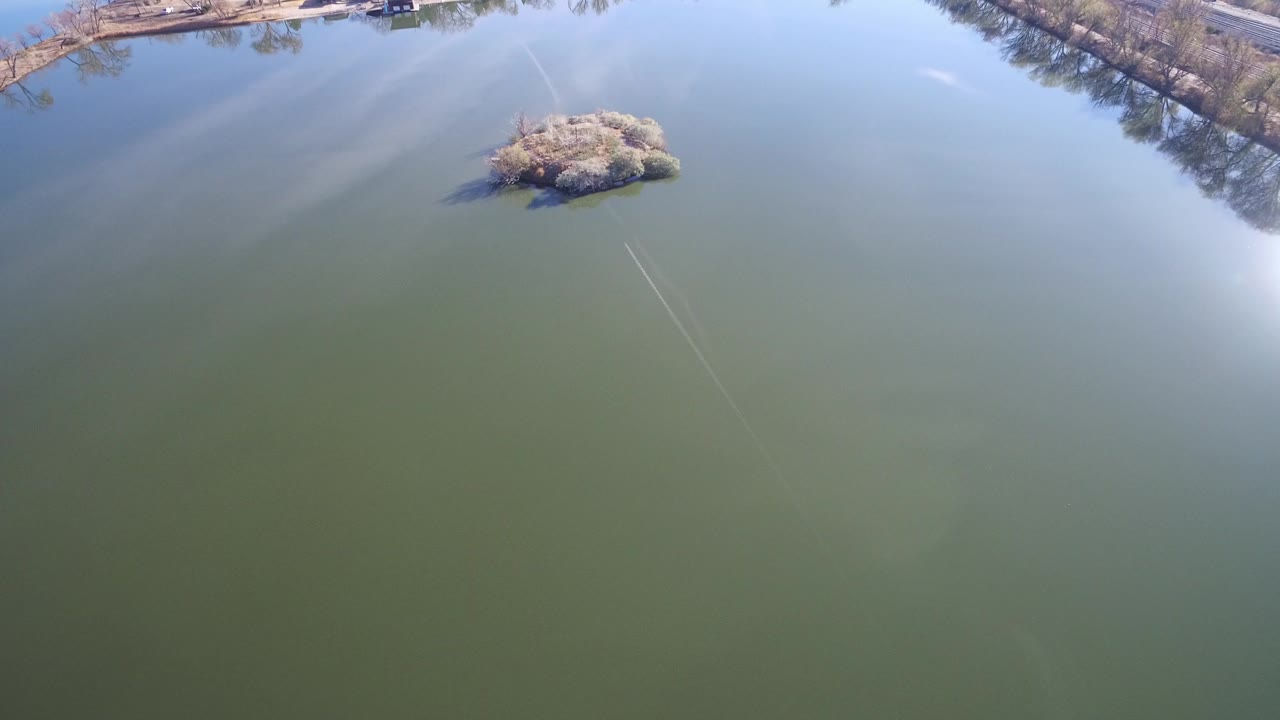 Aerial view over Westminster, Colorado lake water with a small brushy patch near the upper center, shoreline trees along the top edge, and no visible people.