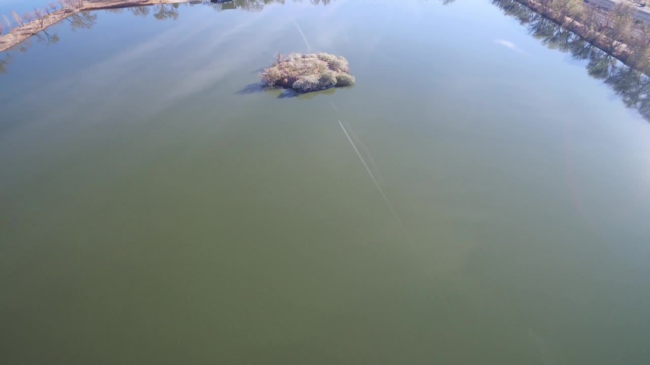 High angle over still lake water with a brushy island-like patch near the top.