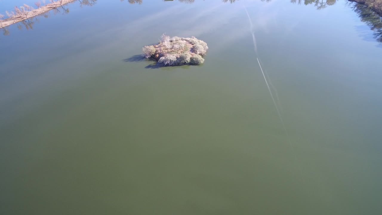 Small white object on calm green-blue water near tree reflections.