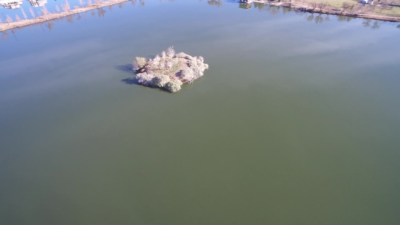 Aerial lake frame from Westminster, Colorado, with the tree-covered island near center, pale cloud reflections on the water, shoreline at the top, and no visible people.