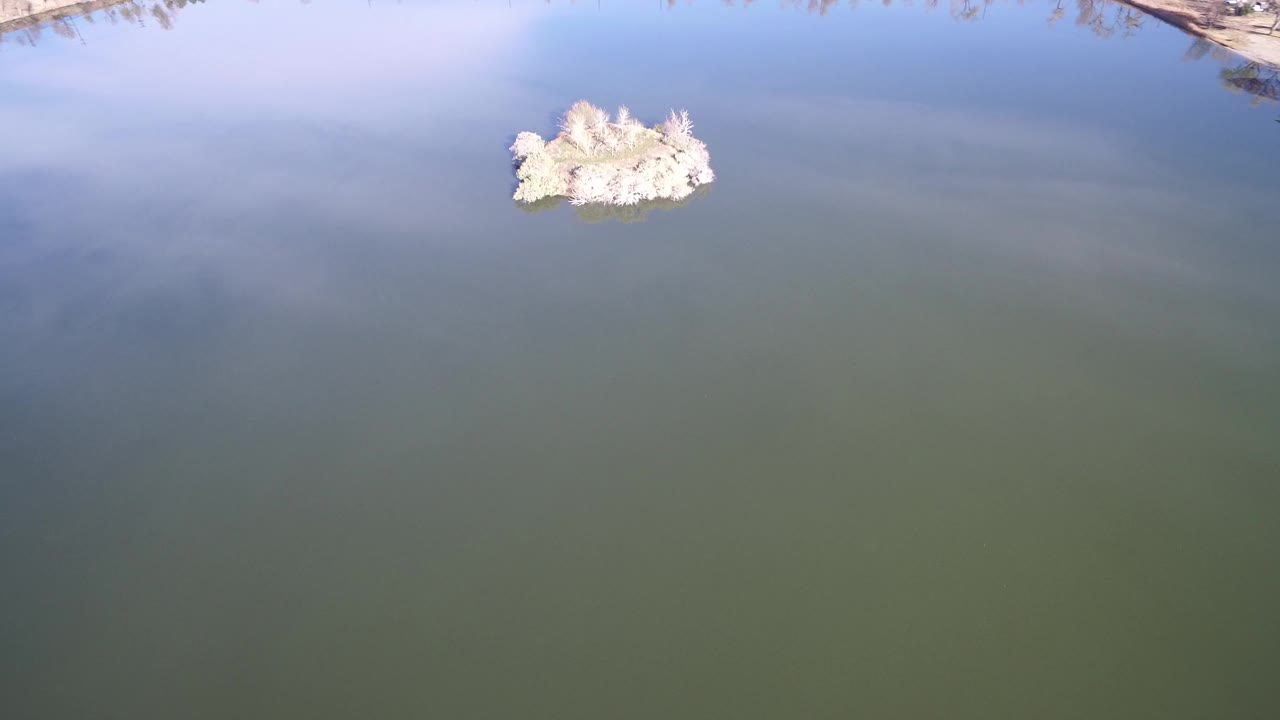 Small brushy island in a lake seen from above