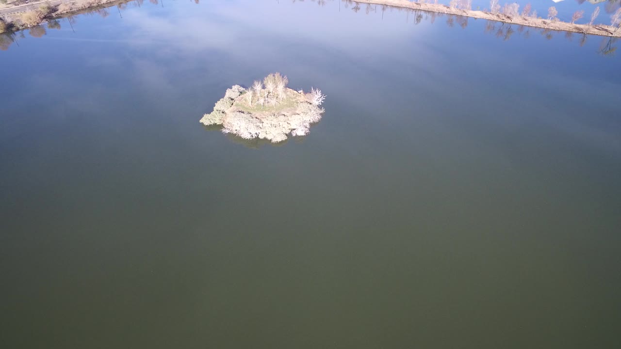 Aerial frame in Westminster, Colorado showing a small pale brush-covered island surrounded by reflective green-blue water, with shoreline along the top edge and no visible people.