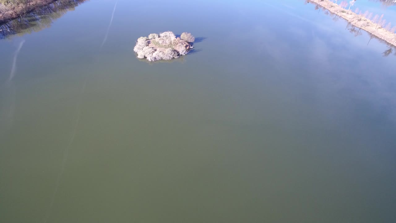 Aerial view over Westminster, Colorado water with a small pale tree-covered island near the upper left and no visible people.