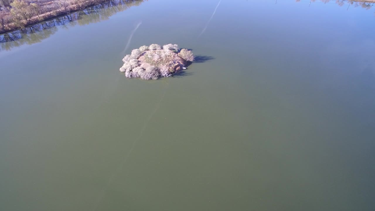 Aerial view of a small tree-covered island in a lake.