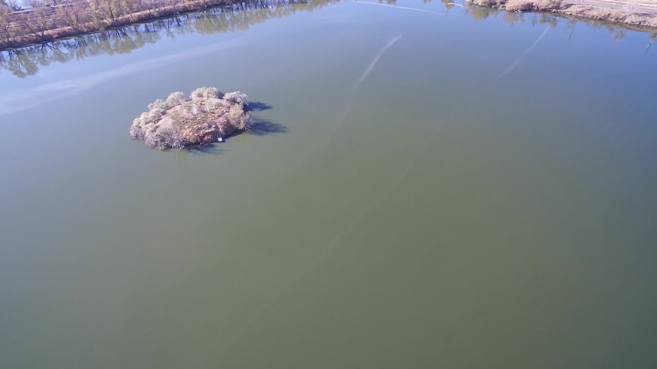 Aerial view in Westminster, Colorado showing green water, a small tree-covered island left of center, a thin top-edge shoreline with leafless trees, reflected light, and no visible people.