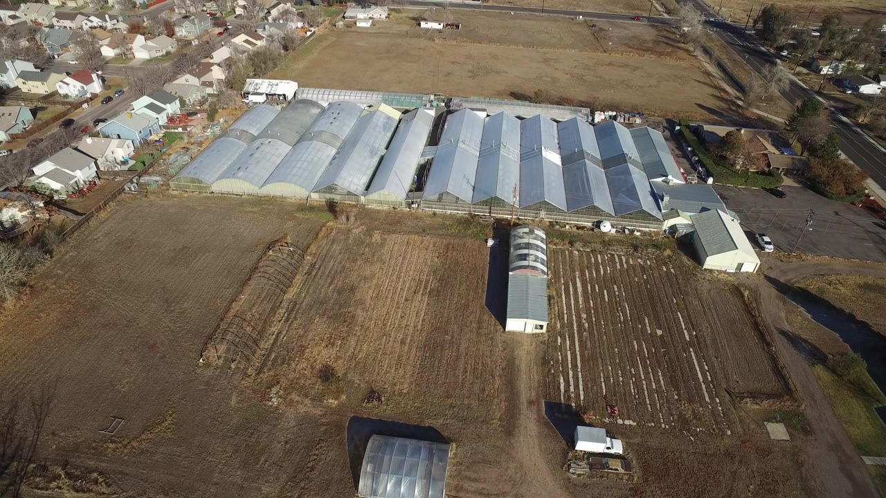 Aerial view of fields, greenhouses, farm buildings, and nearby houses.