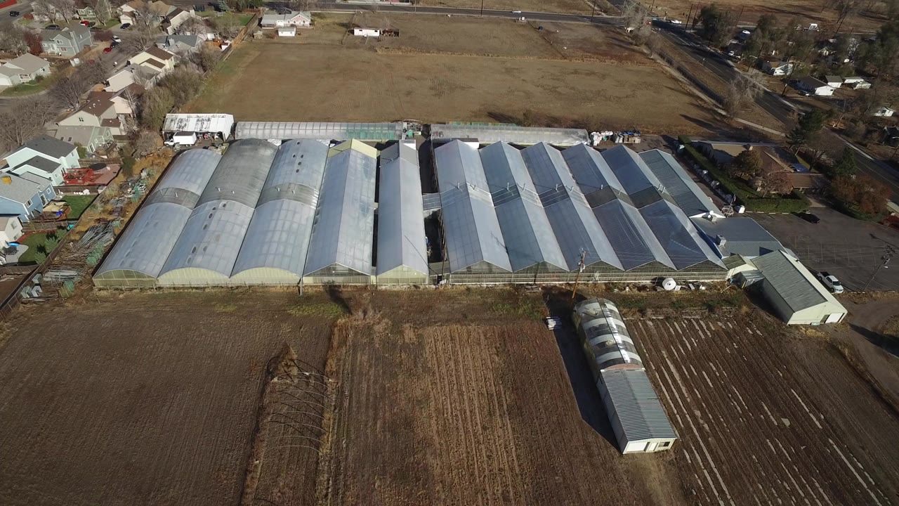 Aerial view in Westminster, Colorado showing long silver greenhouse buildings bordered by brown fields, roads, and residential houses, with no visible people.