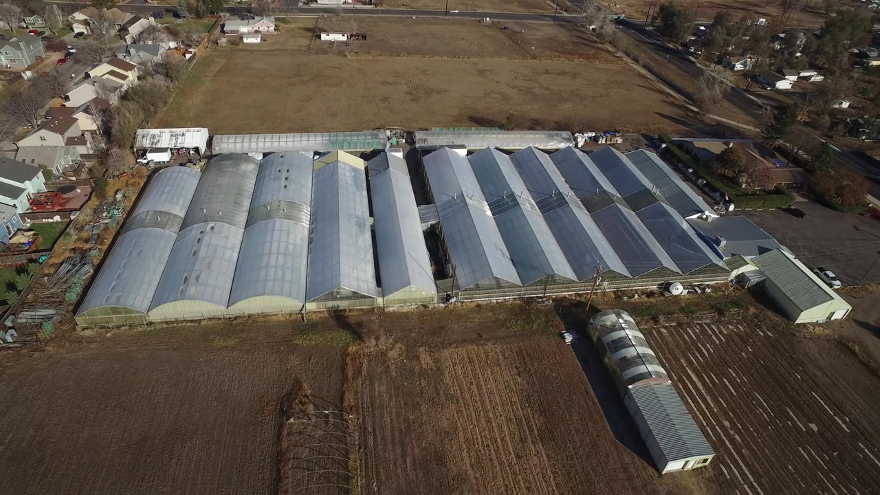 Rows of industrial farm buildings with fields on both sides.