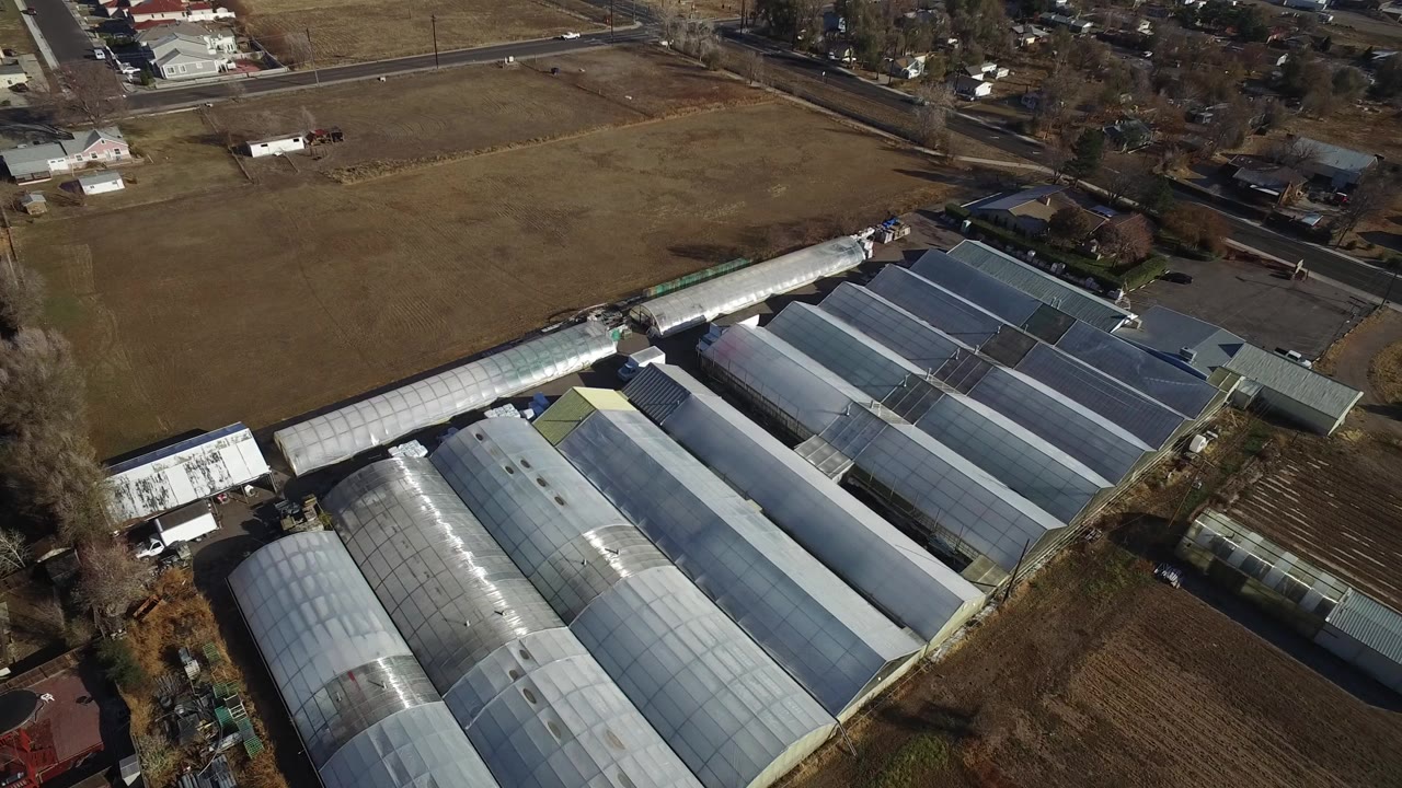 Oblique aerial view over long pale warehouse or greenhouse roofs in Westminster, Colorado, with brown fields, roads, scattered houses, and no visible people.