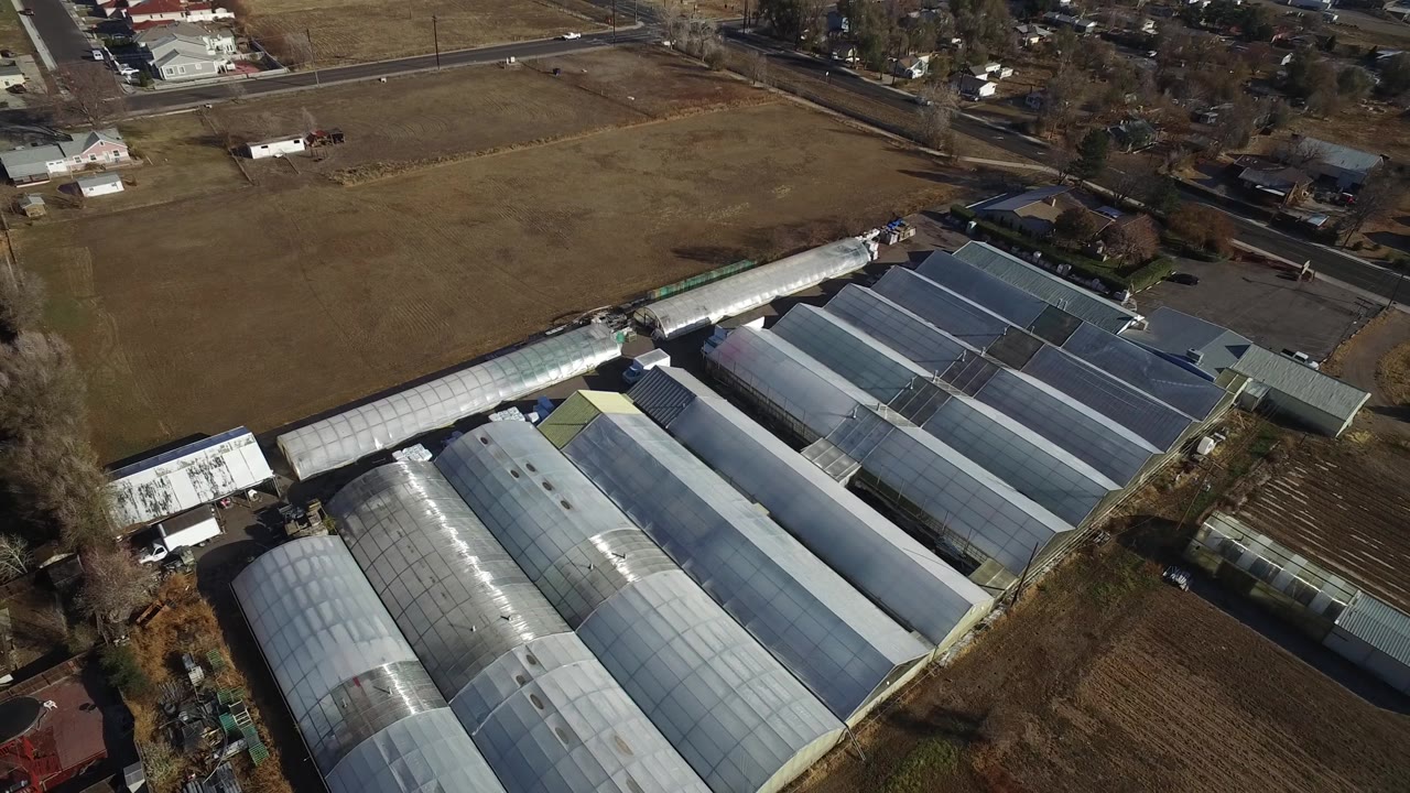 Aerial frame over the center of the Westminster, Colorado complex, showing parallel translucent roofs, open brown fields, a road corridor, nearby houses, and no visible people.